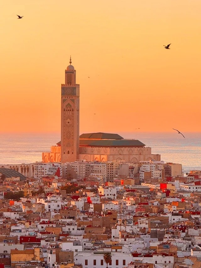 Magnificent Hassan II Mosque in Casablanca Morocco at golden sunset overlooking Atlantic Ocean with seabirds
