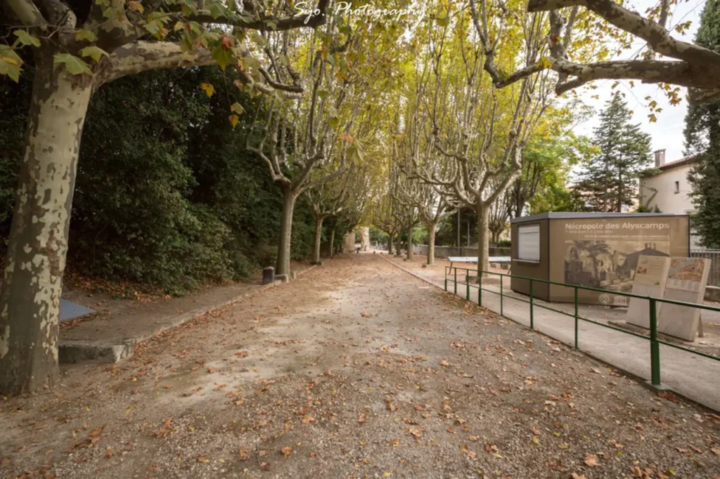 A wide, tree-lined path in Les Alyscamps, Arles, covered with fallen leaves, leading towards a small informational kiosk under a cloudy sky. The trees have sparse green and yellow foliage.
