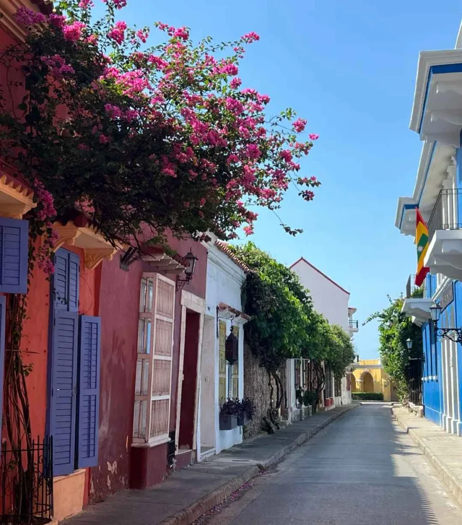 Charming colonial street in Cartagena with colorful houses, purple bougainvillea flowers and traditional architecture