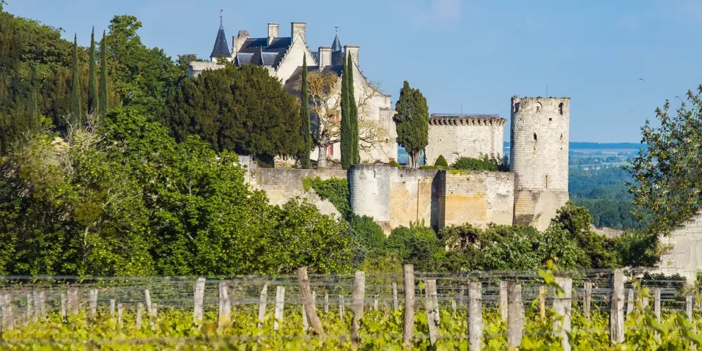 A grand medieval castle (Château de Chinon) with towers and turrets overlooking a lush green vineyard under a clear blue sky.