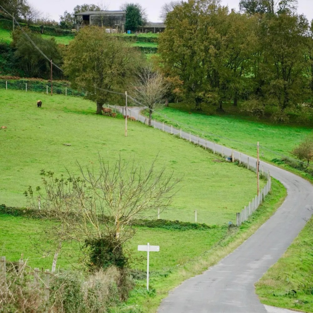 First Camino guide rural countryside path winding through green fields with traditional fencing and pastoral landscape