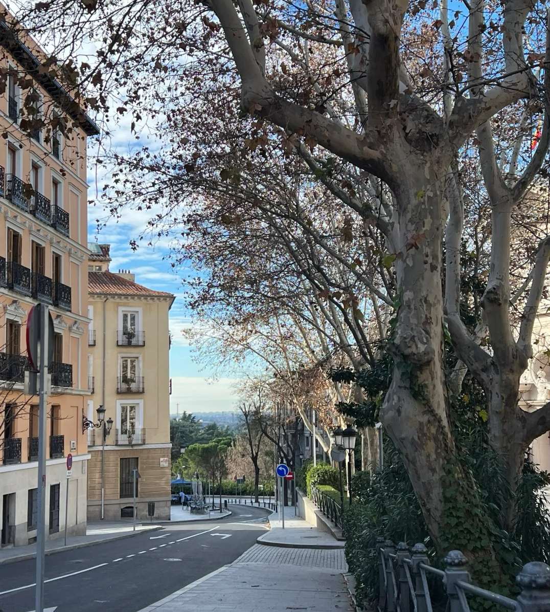 Tree-lined street in Madrid accommodation district with traditional Spanish buildings and wide sidewalks