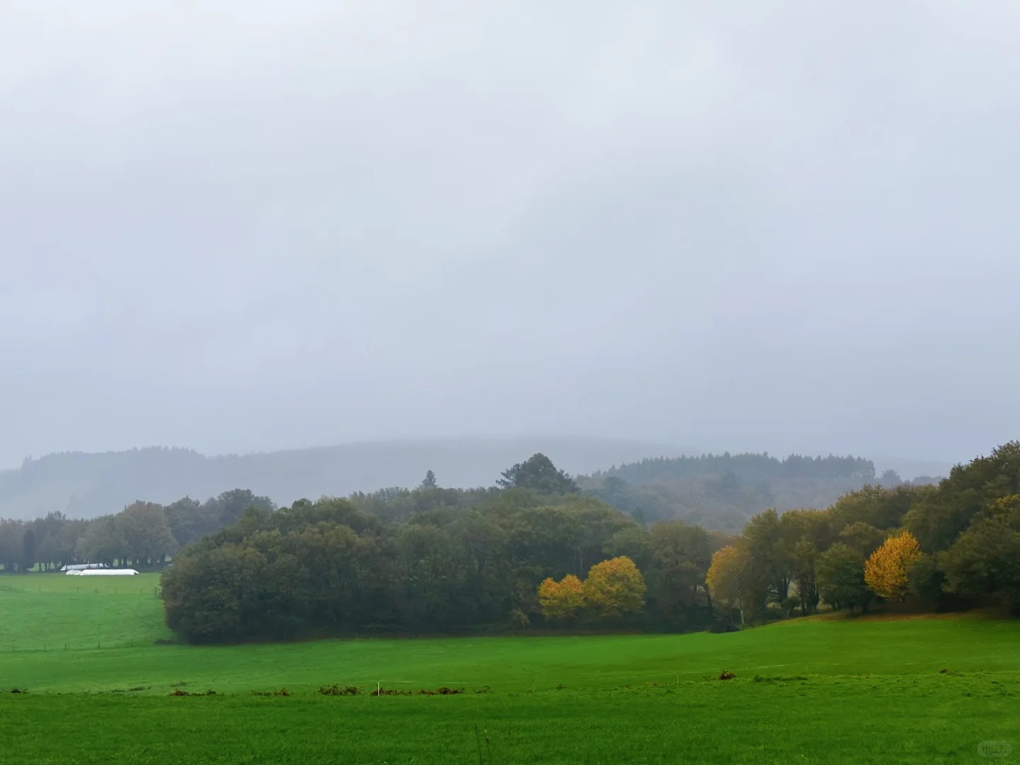 Scenic countryside landscape along Santiago Ways showing green fields and rolling hills in northern Spain