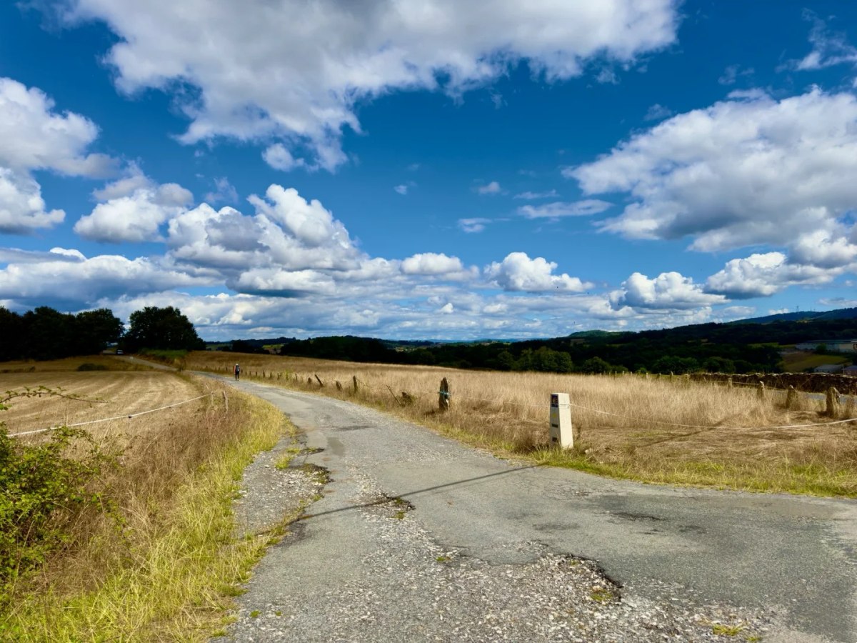 Santiago Ways trail markers through golden countryside fields