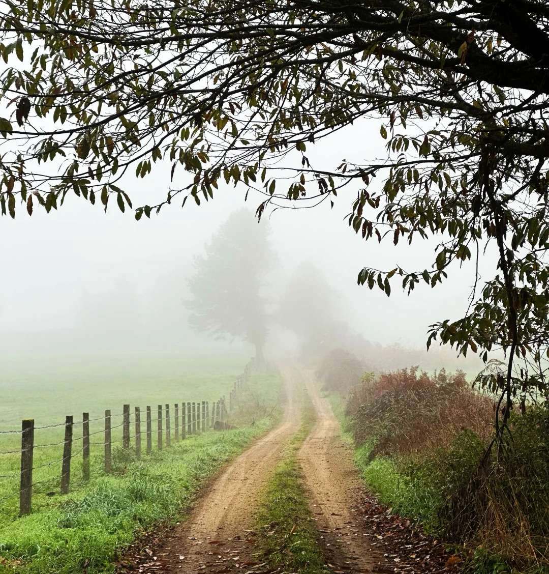 Misty morning path on Santiago Ways with atmospheric fog and rural countryside scenery
