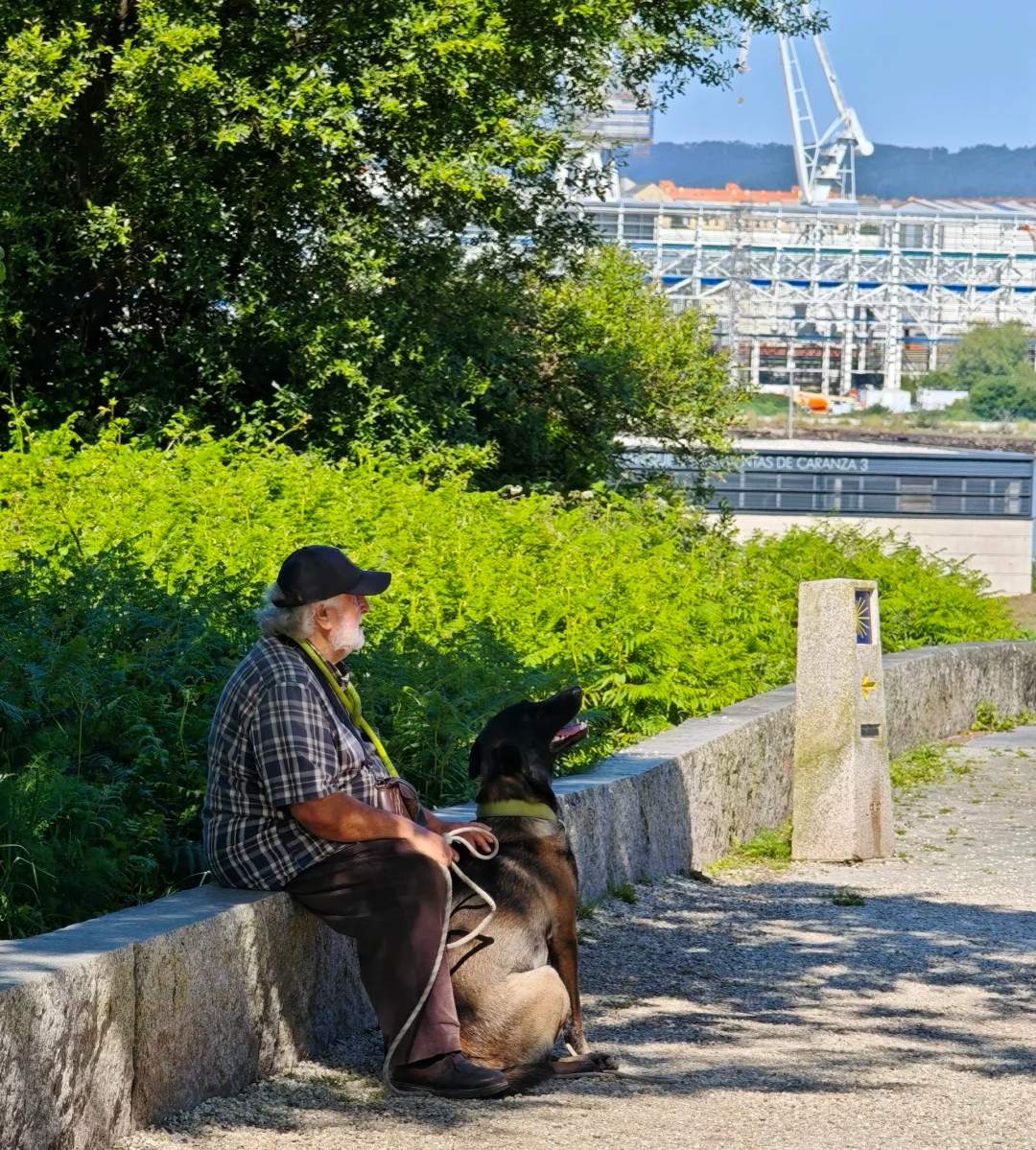 Santiago Ways pilgrim with dog taking rest break near coastal port area