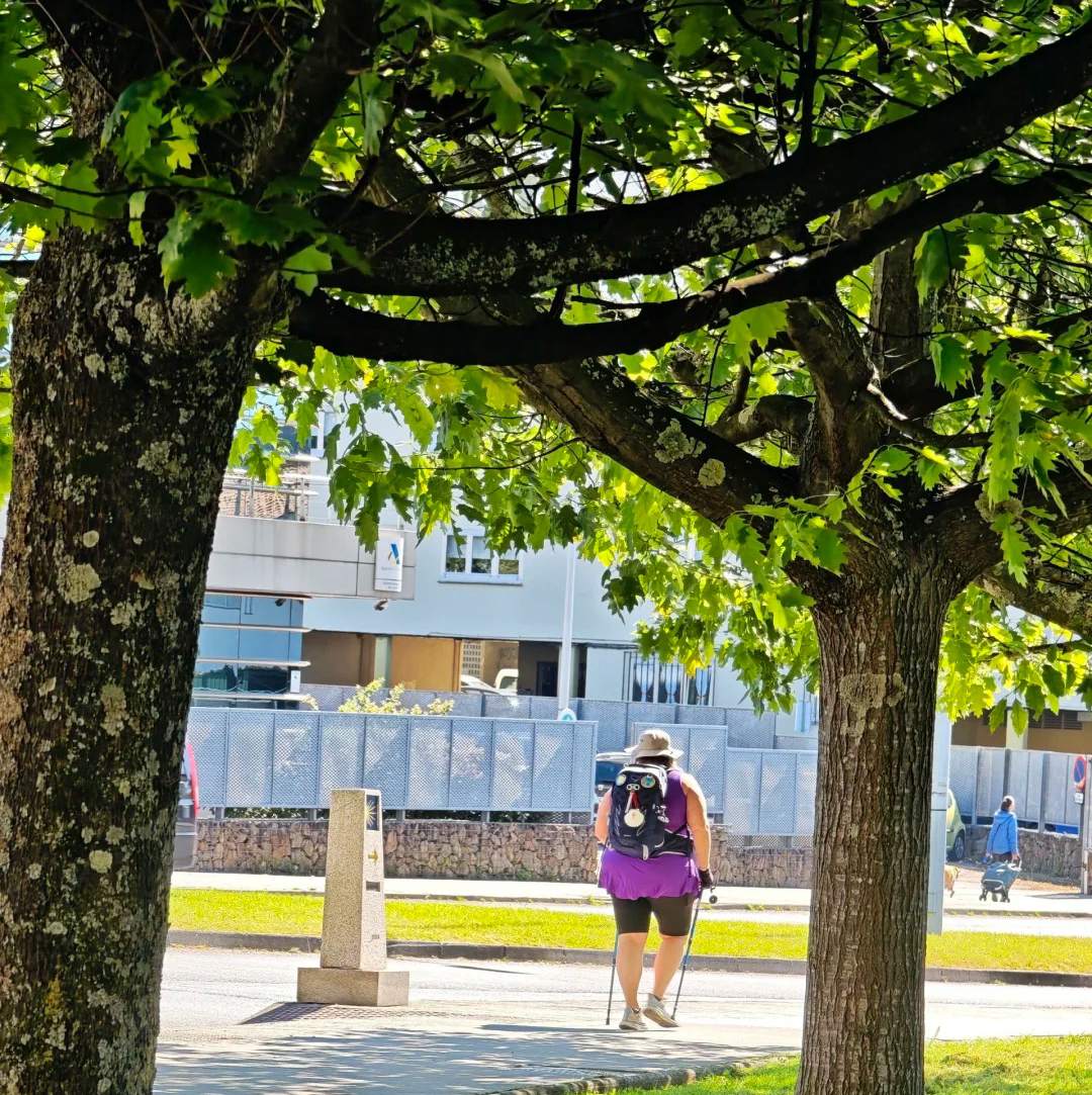 Santiago Ways pilgrim seeking shade under trees during hot summer walking conditions