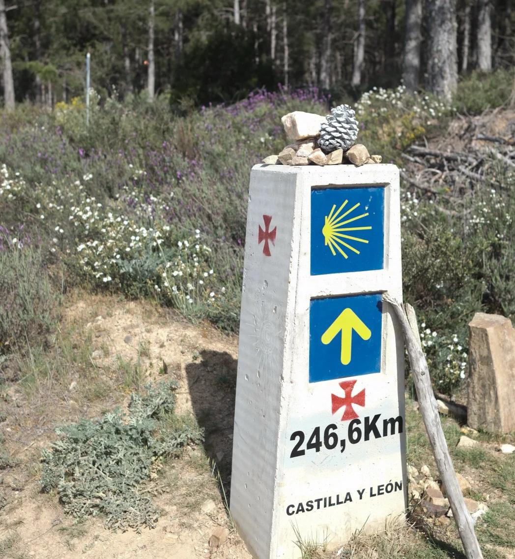 Santiago Ways stone waymarker showing 246.6km to Santiago in Castilla y León with scallop shell and arrow symbols