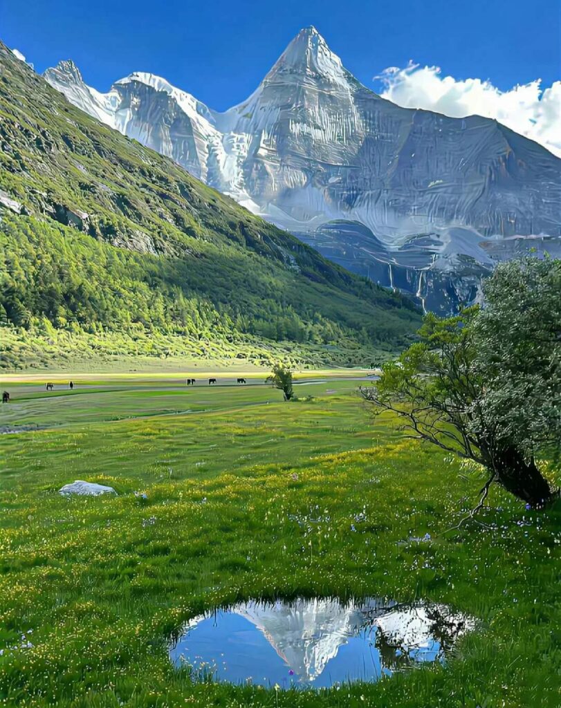 Pristine mountain landscape with snow-capped peaks, green meadows and grazing animals reflecting in small pond, showcasing rewards of proper trip planning