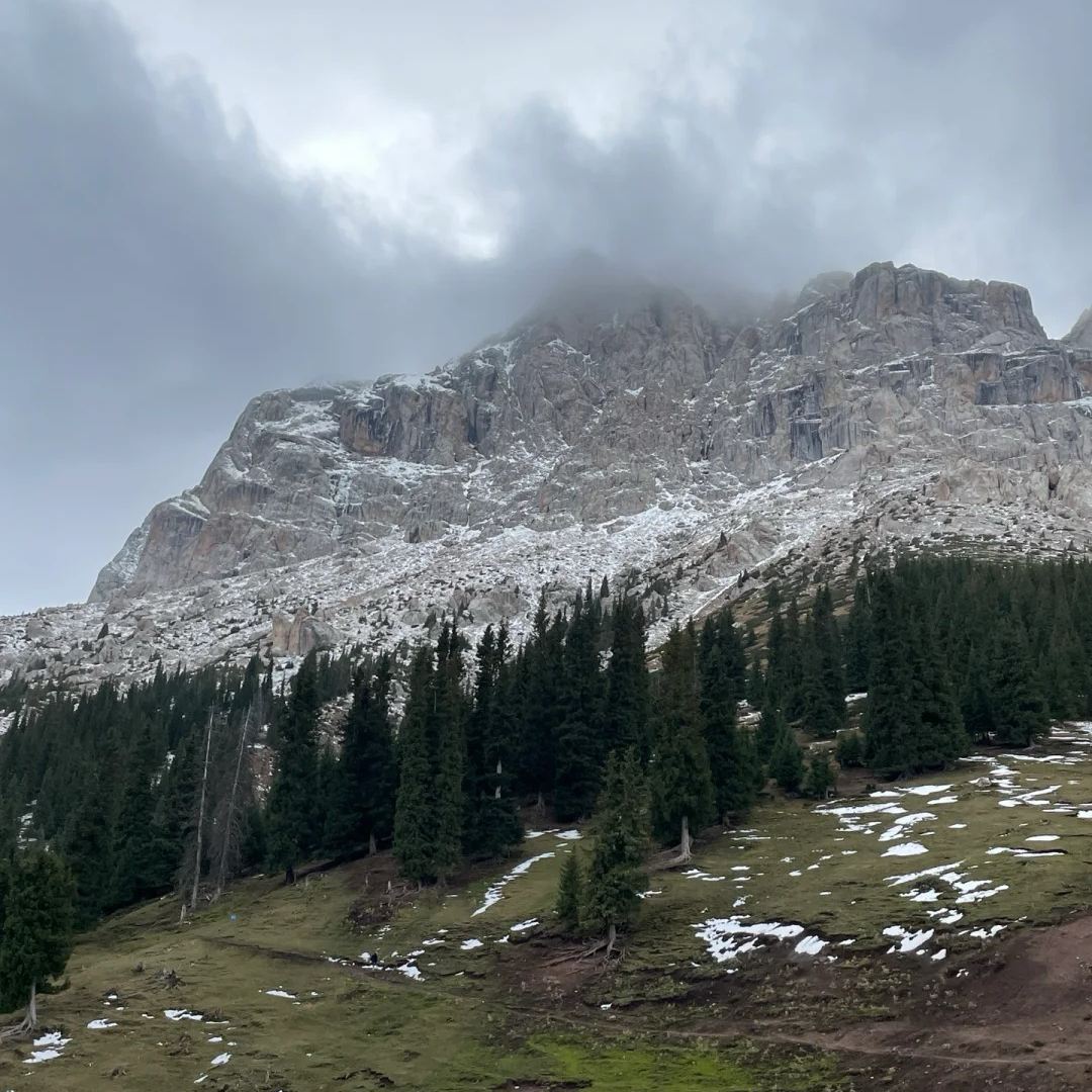 Minimalist travel packing dramatic mountain landscape with snow and forest