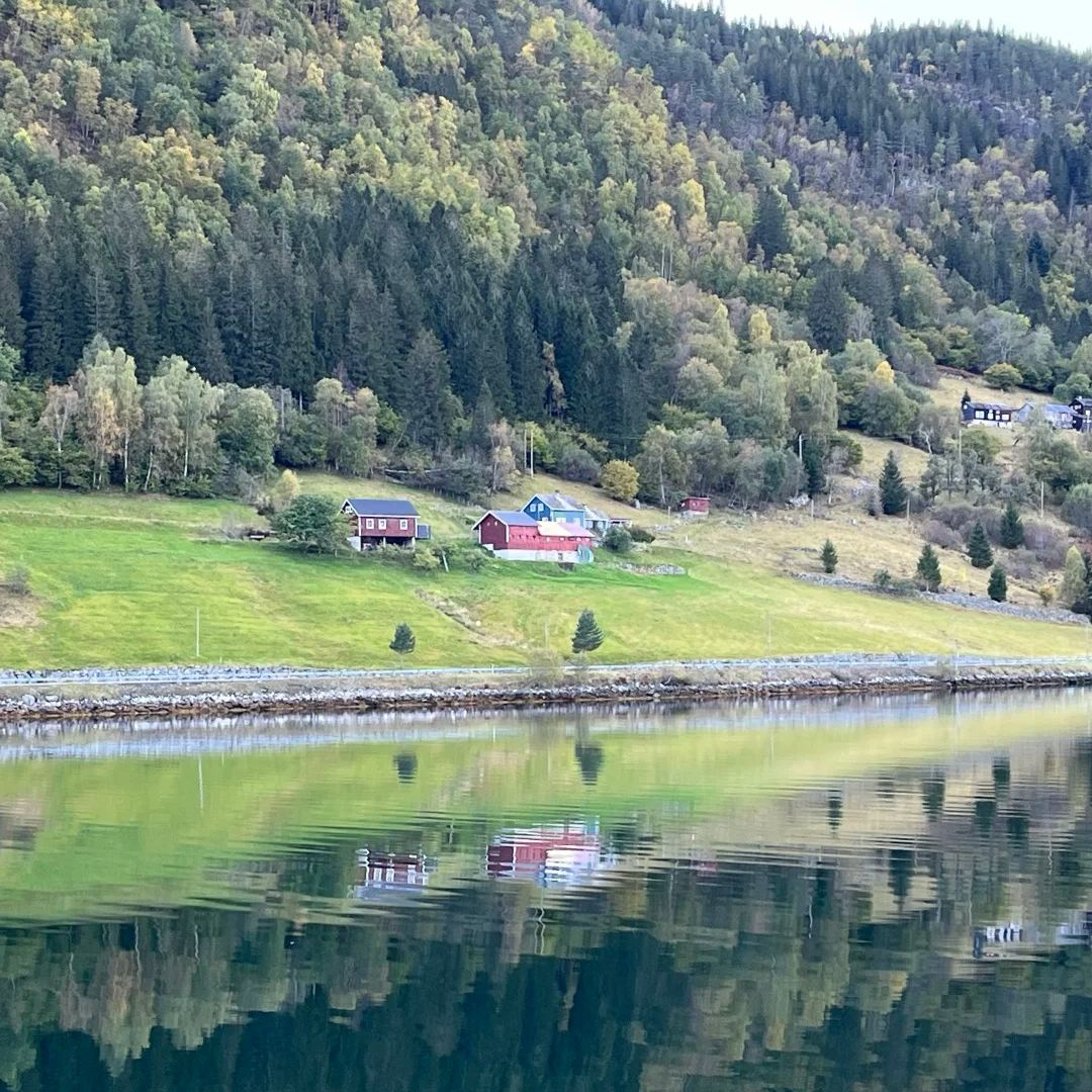 Norwegian fjords traditional red houses reflected in calm fjord waters with forested mountains