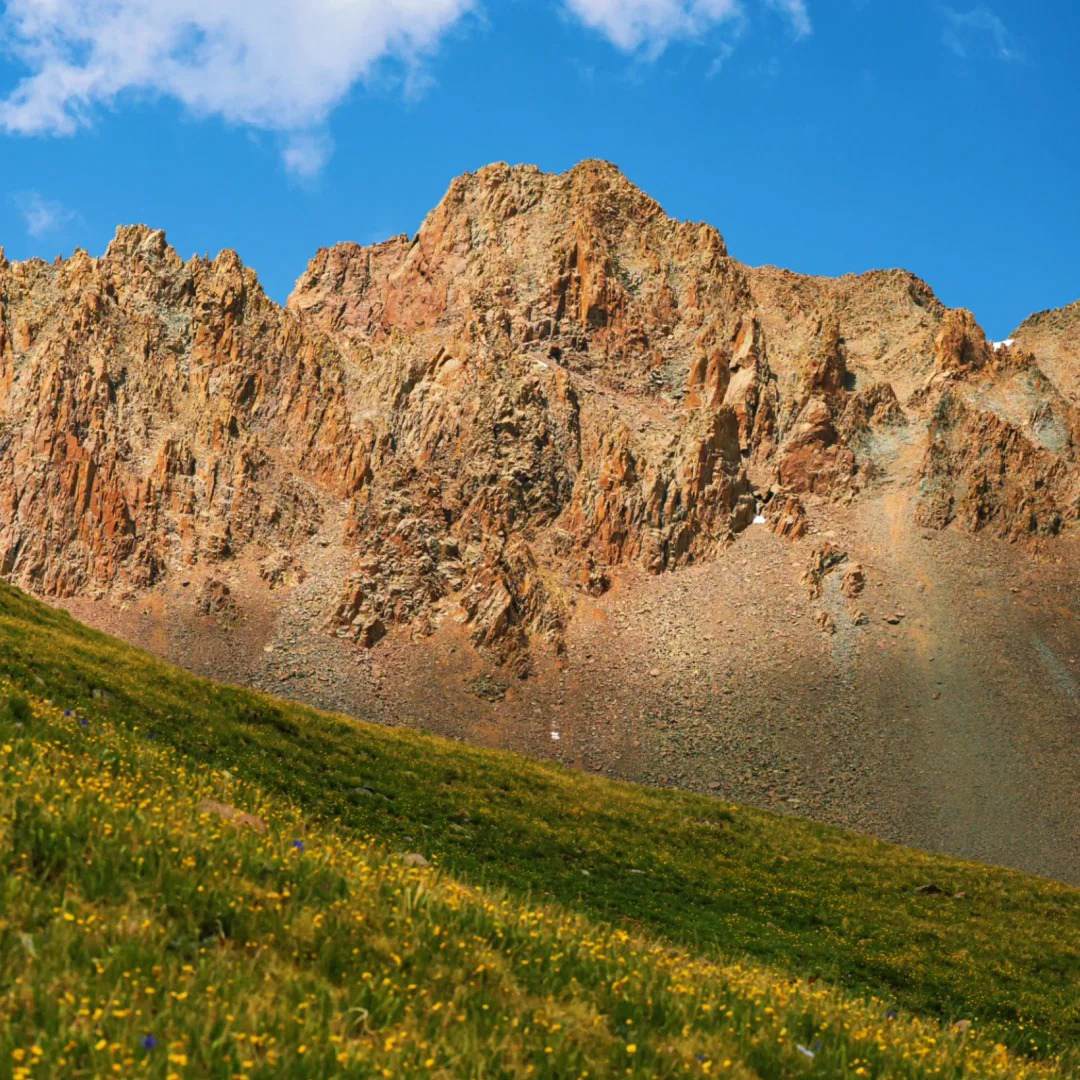 Solo female travel mountain landscape with wildflowers