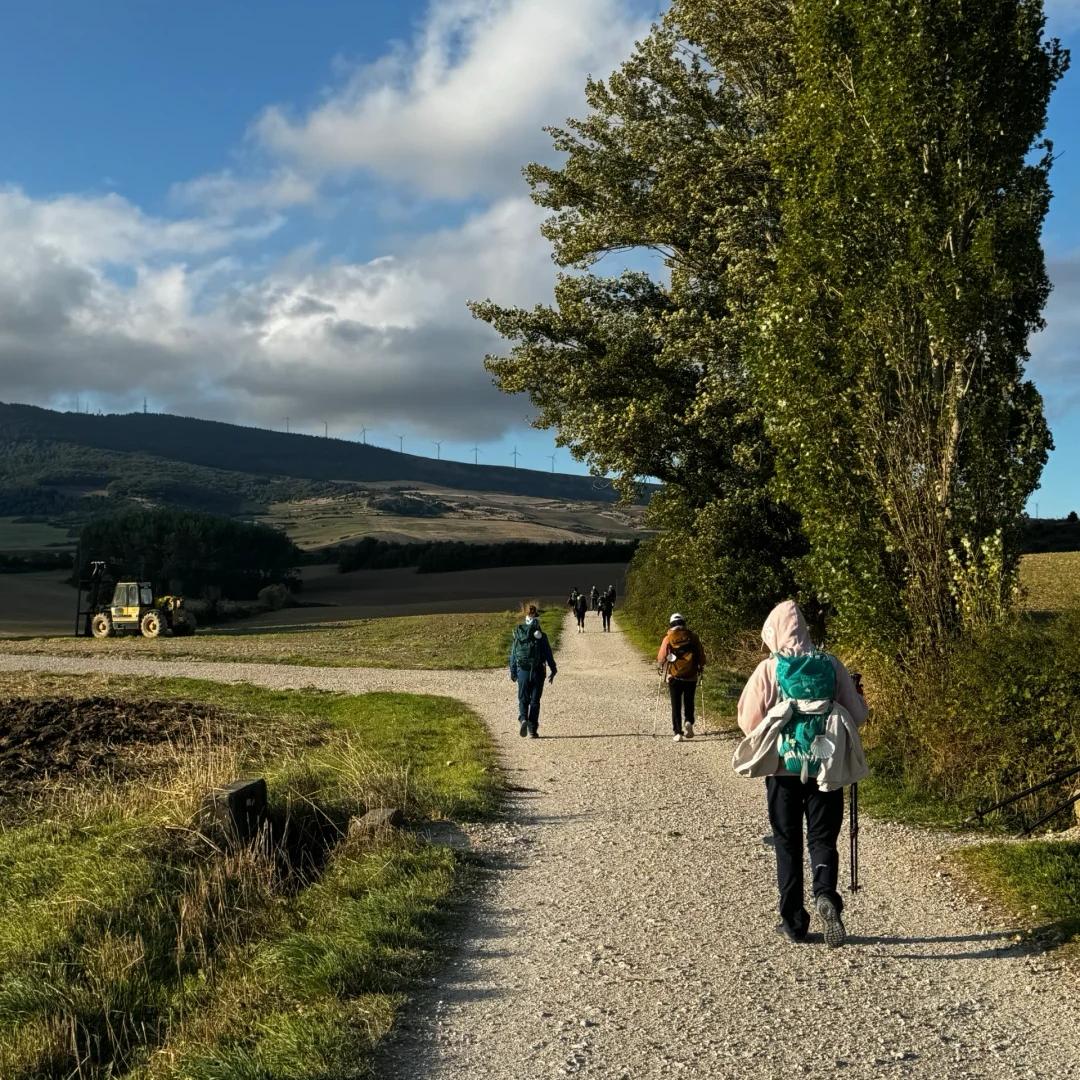 Pilgrims walking on Camino Francés through Spanish countryside farmlands