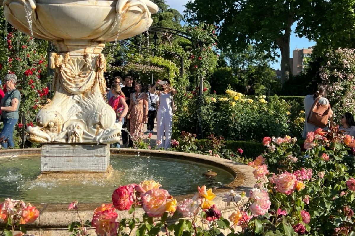 Beautiful rose garden fountain in Madrid's Retiro Park with colorful blooming roses and visitors enjoying the peaceful atmosphere