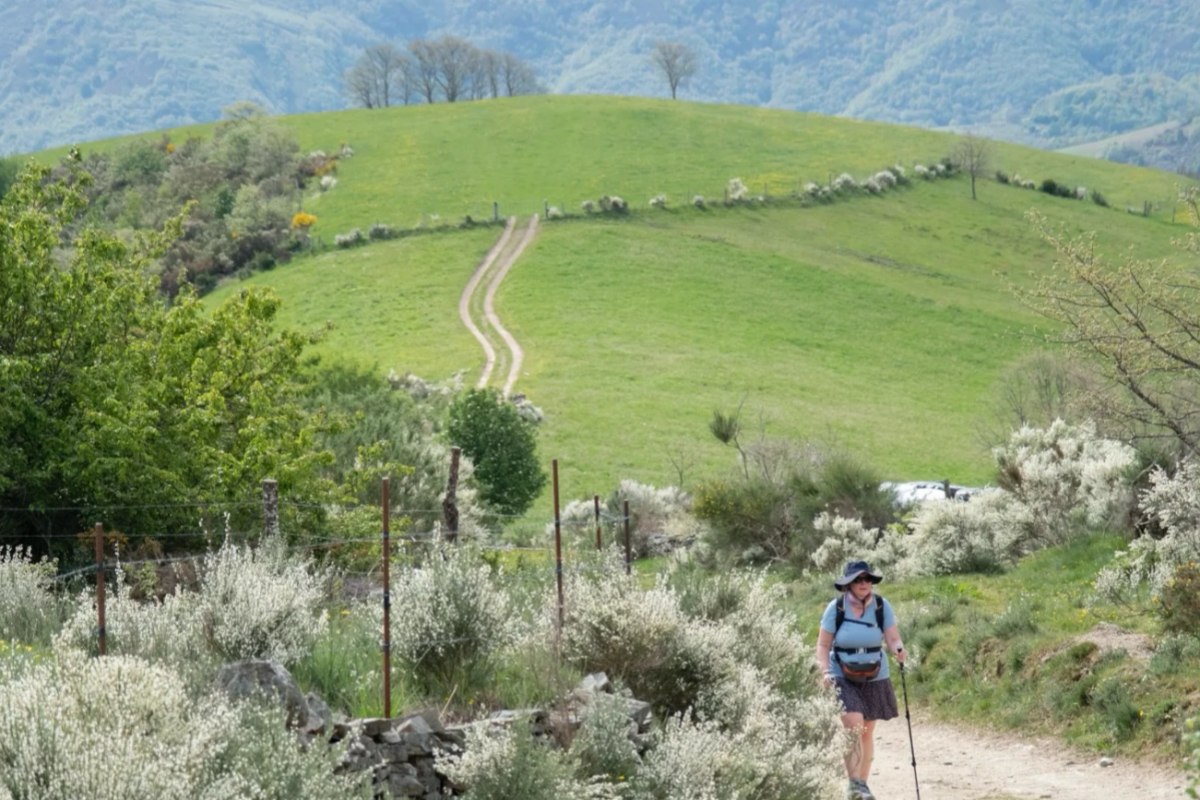 Santiago Ways pilgrim hiking in ideal spring weather with green landscapes and clear blue skies