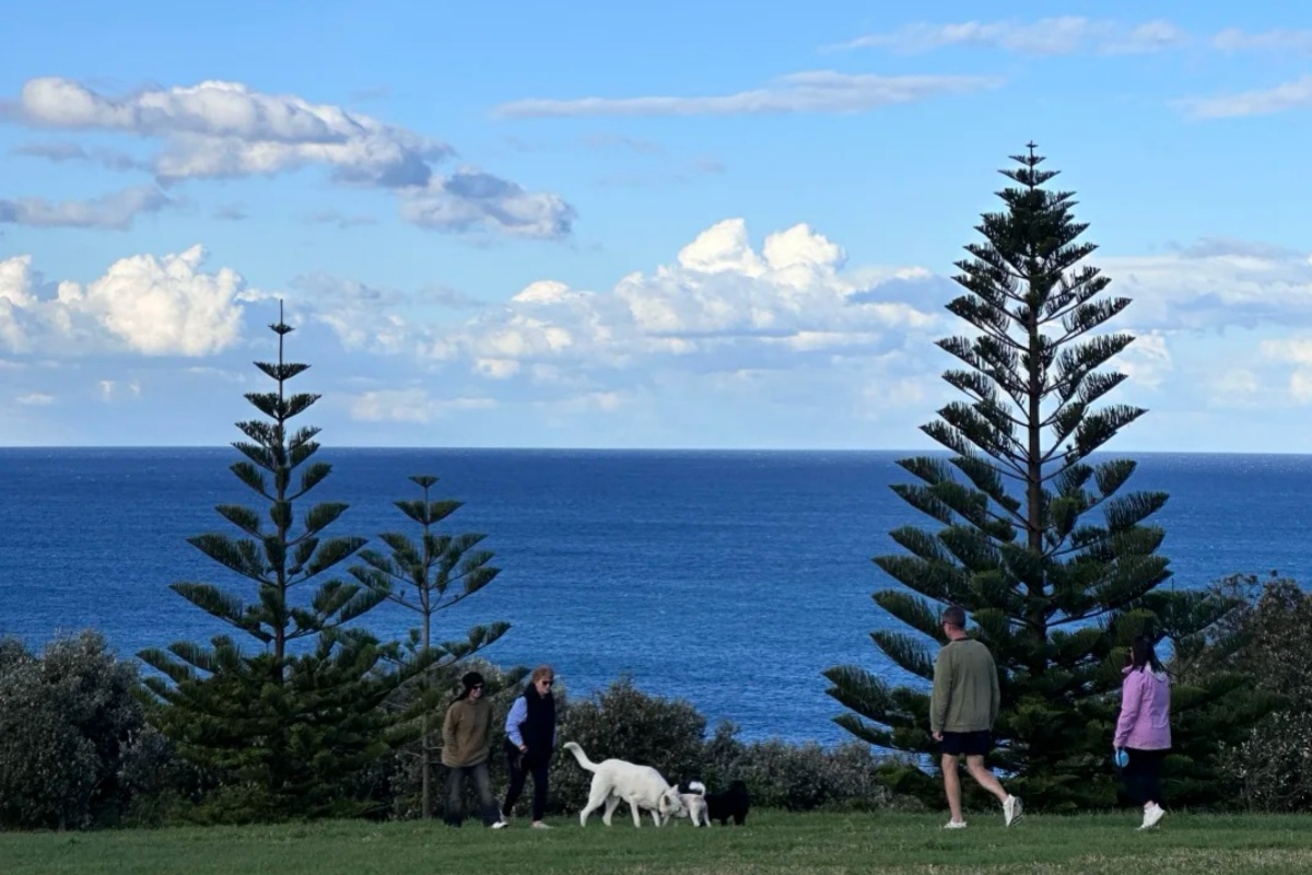 Travelers relaxing in scenic coastal park with ocean views and Norfolk pines, demonstrating importance of choosing well-located accommodations near attractions