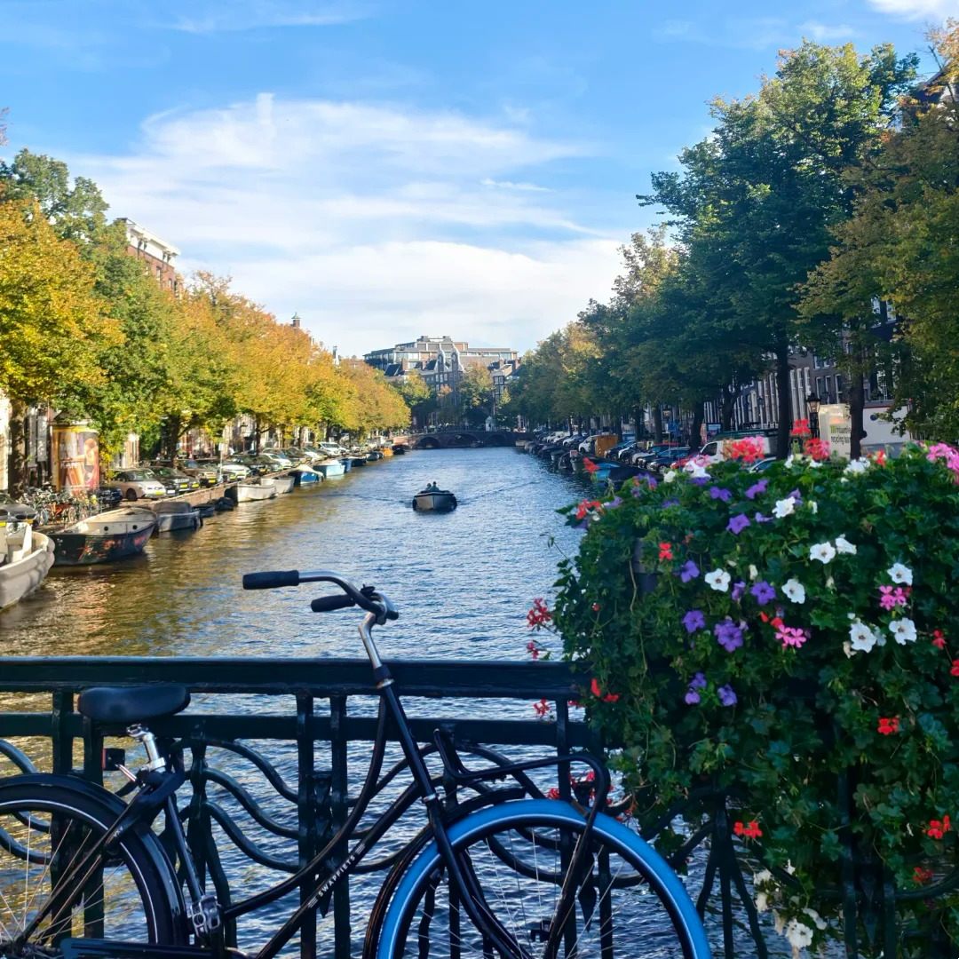 Places stay Amsterdam canal bridge decorated with colorful flowers and traditional Dutch bicycle